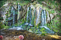 blarney waterfall